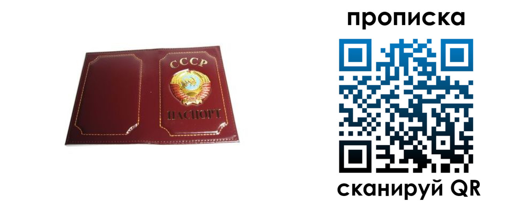 прописка гарантия в Морозовске